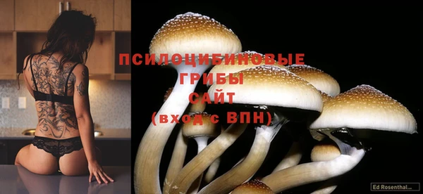 соль ск Нягань