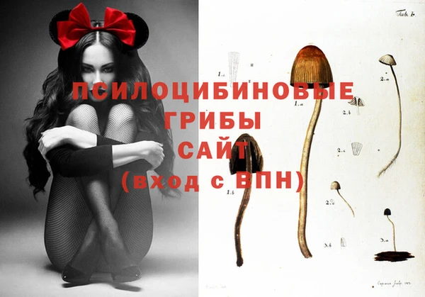 прущая мука Няндома