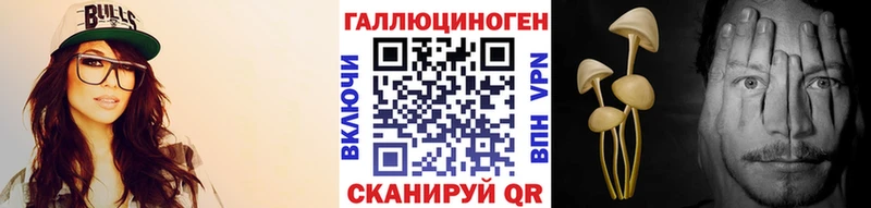 как найти наркотики  Каменка  blacksprut ссылка  Галлюциногенные грибы Magic Shrooms 