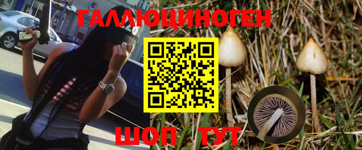 МЕФ  Cocaine  МЕФ кристаллы  Каменка  Гашиш  ГАШИШ  Вход с VPN  А ПВП СОЛЬ кристаллы 