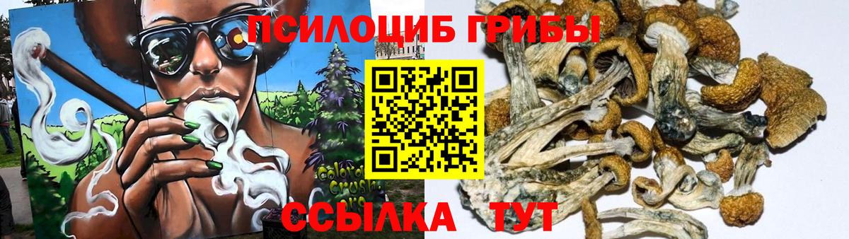 Каменка  Псилоцибиновые грибы Psilocybine cubensis  Вход с VPN 