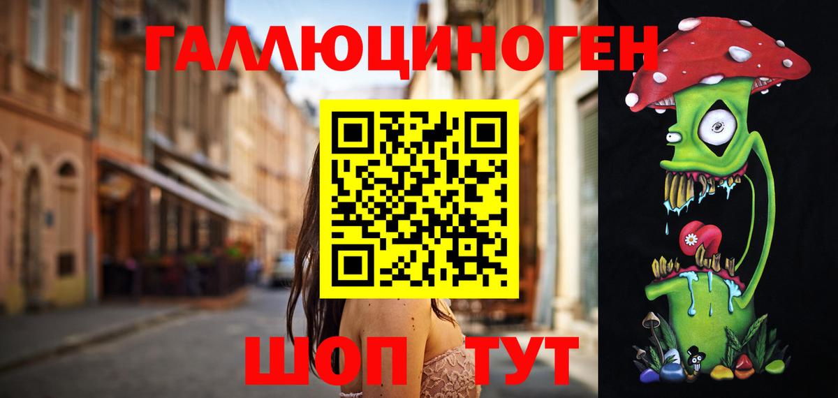 Псилоцибиновые грибы Psilocybe  Каменка  Псилоцибиновые грибы MAGIC MUSHROOMS 