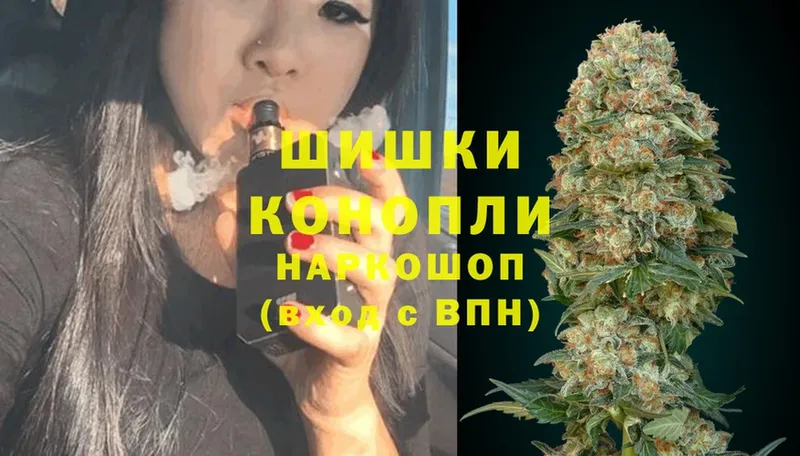 Марихуана THC 21%  купить   Каменка 