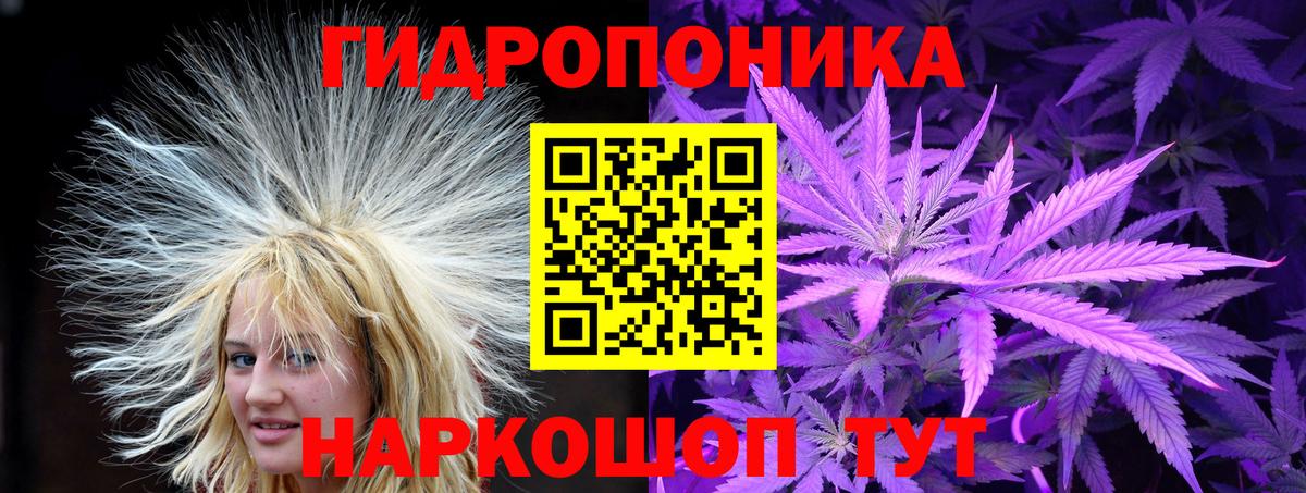 Канабис AK-47  Каменка  Каннабис LSD WEED  МАРИХУАНА THC 21% 